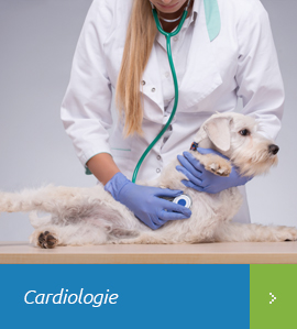 Cardiologie