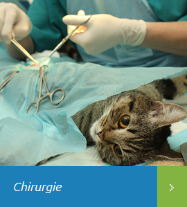 Chirurgie