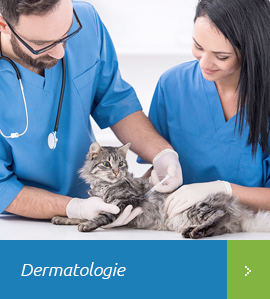 Dermatologie