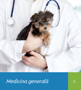 Medicina-generala