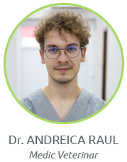 Dr Andreica Raul