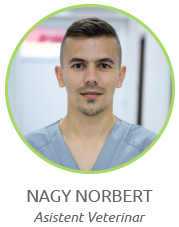 Nagy Norbert