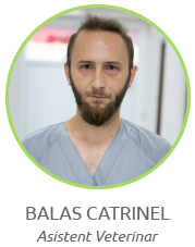 Balas Catrinel