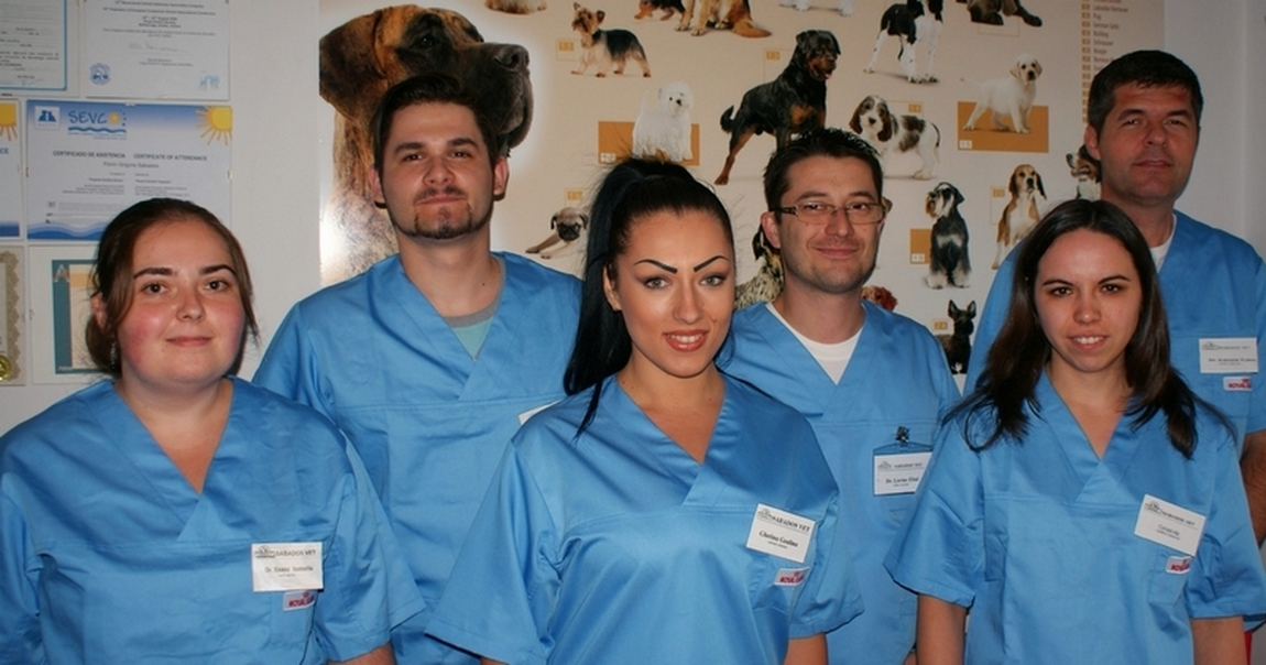 Cabinet Veterinar Satu Mare Sabados Poti Deveni Si Tu Membru Sabados Vet